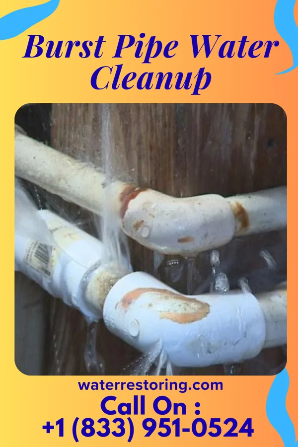 Burst Pipe Water Cleanup in Halfway House, PA