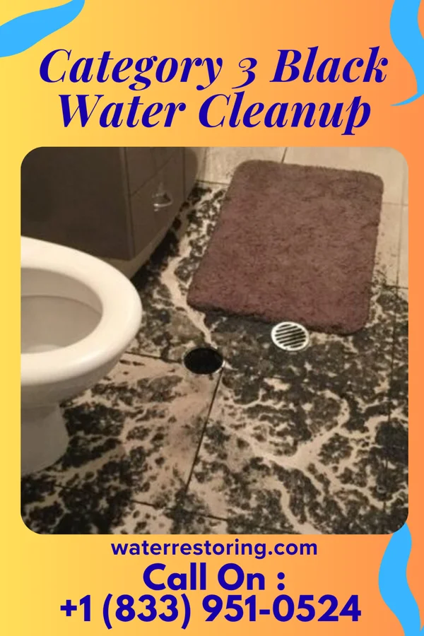 Category 3 Black Water Cleanup in Halfway House, PA