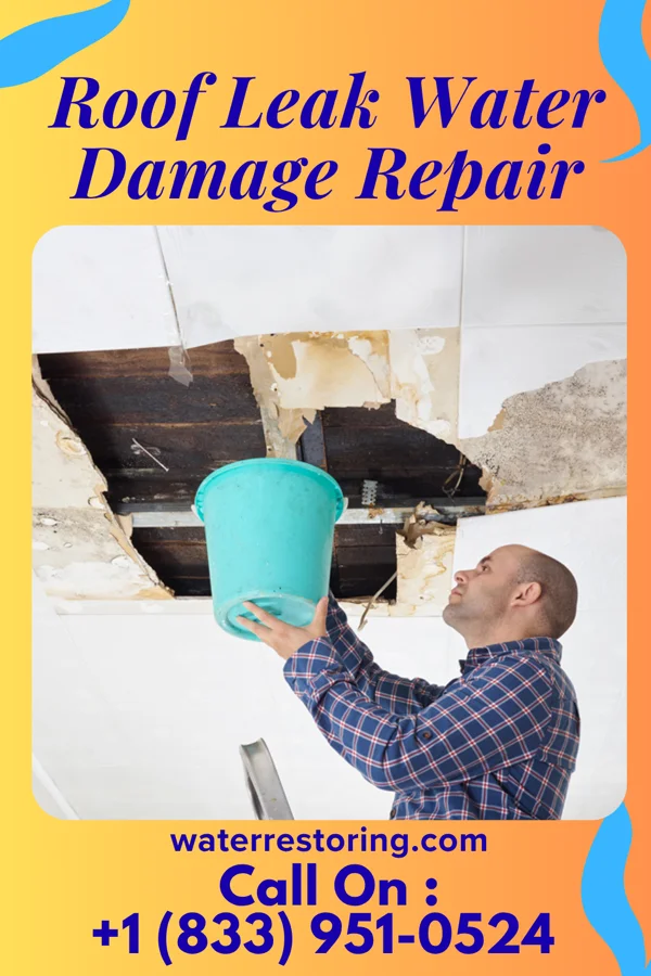 Roof Leak Water Damage Repair in Halfway House, PA