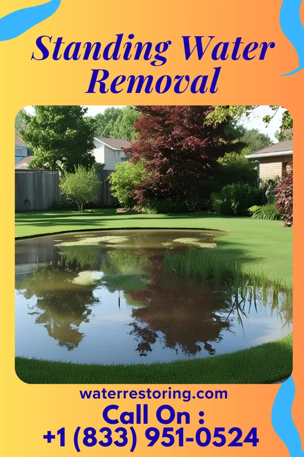 Standing Water Removal in Halfway House, PA